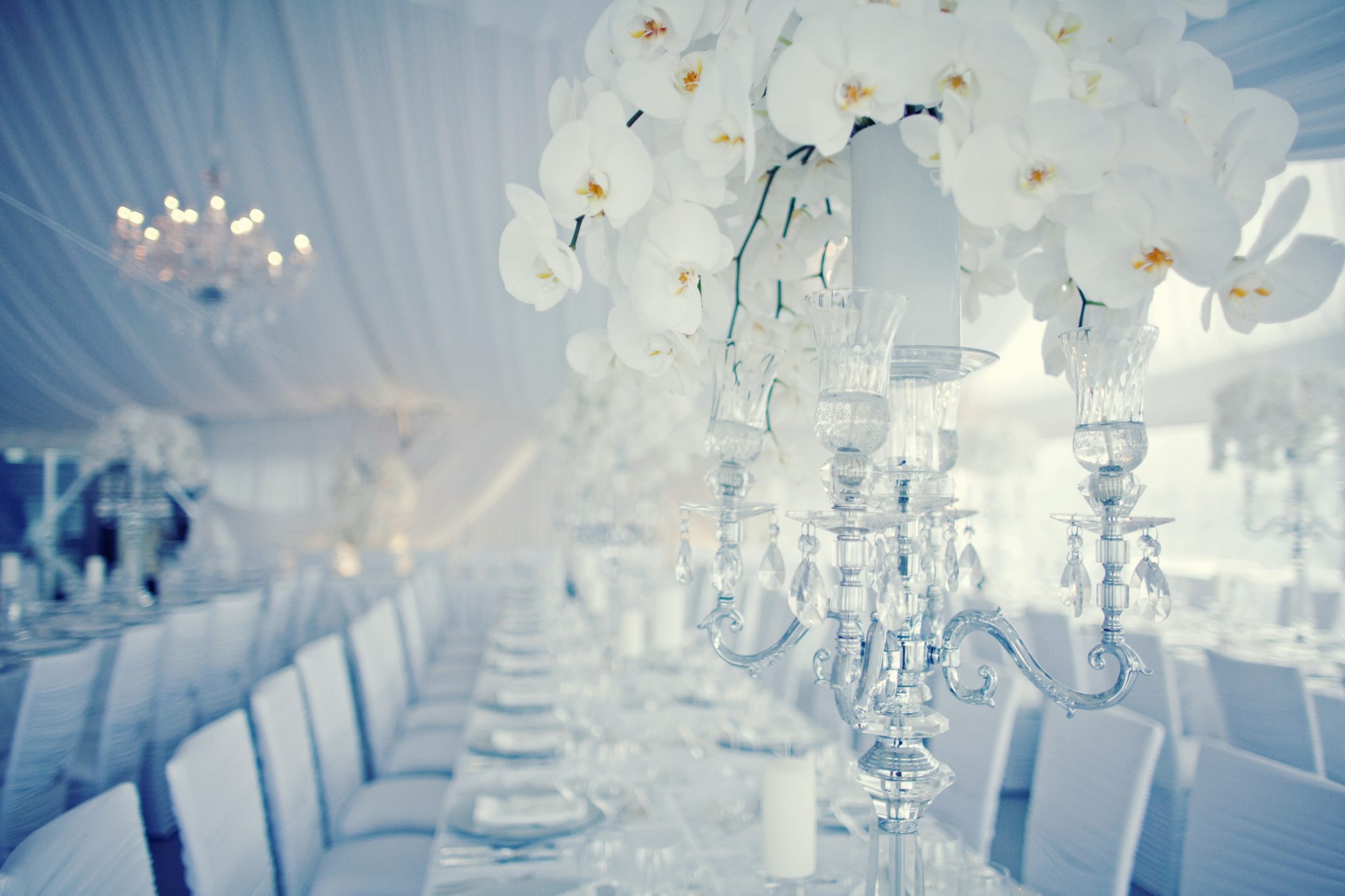 White table and chair setting design | Wedding and Event Planners | Dreamgroup