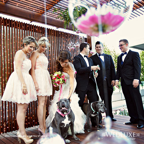 Vanessa and Scott Wedding Photo With their Dogs