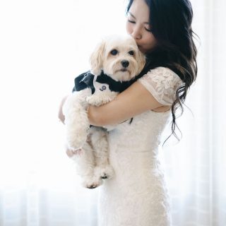 We love when couples include their precious fur babies in their wedding celebrations 🐾 

It’s the sweetest, most grounding touch and honestly, they steal the show every time!

Planner: @plannedbysandy 
Photography: @beigeweddings

#vanouverweddingplanner #vancouverwedding #dreamgroupweddingplanners #brideswithdogs