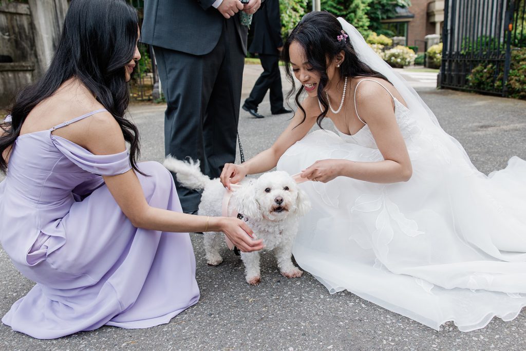 Alyssa and Daniel Wedding