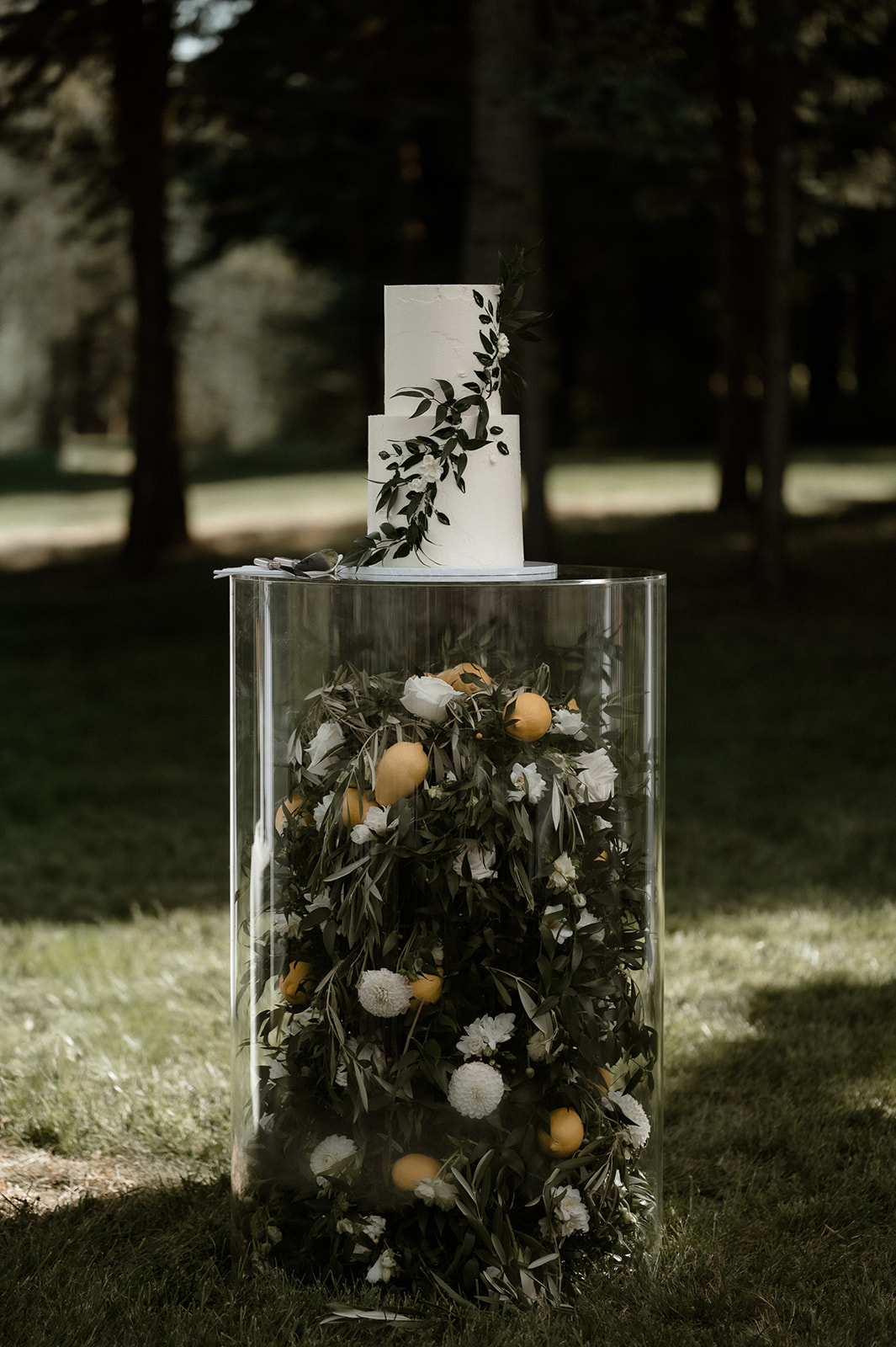 Elora and Dalen Wedding