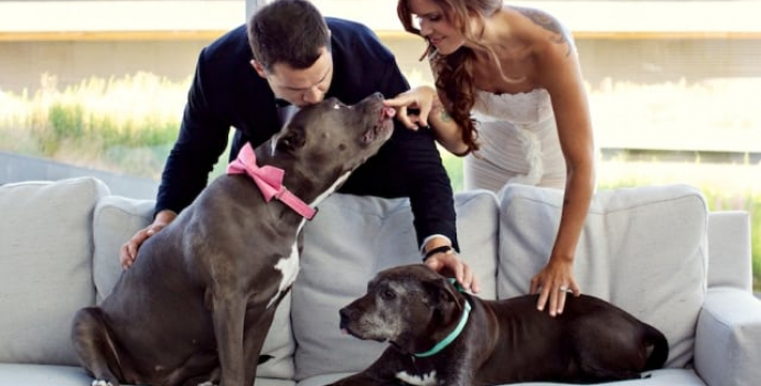 A Wedding for the History Books